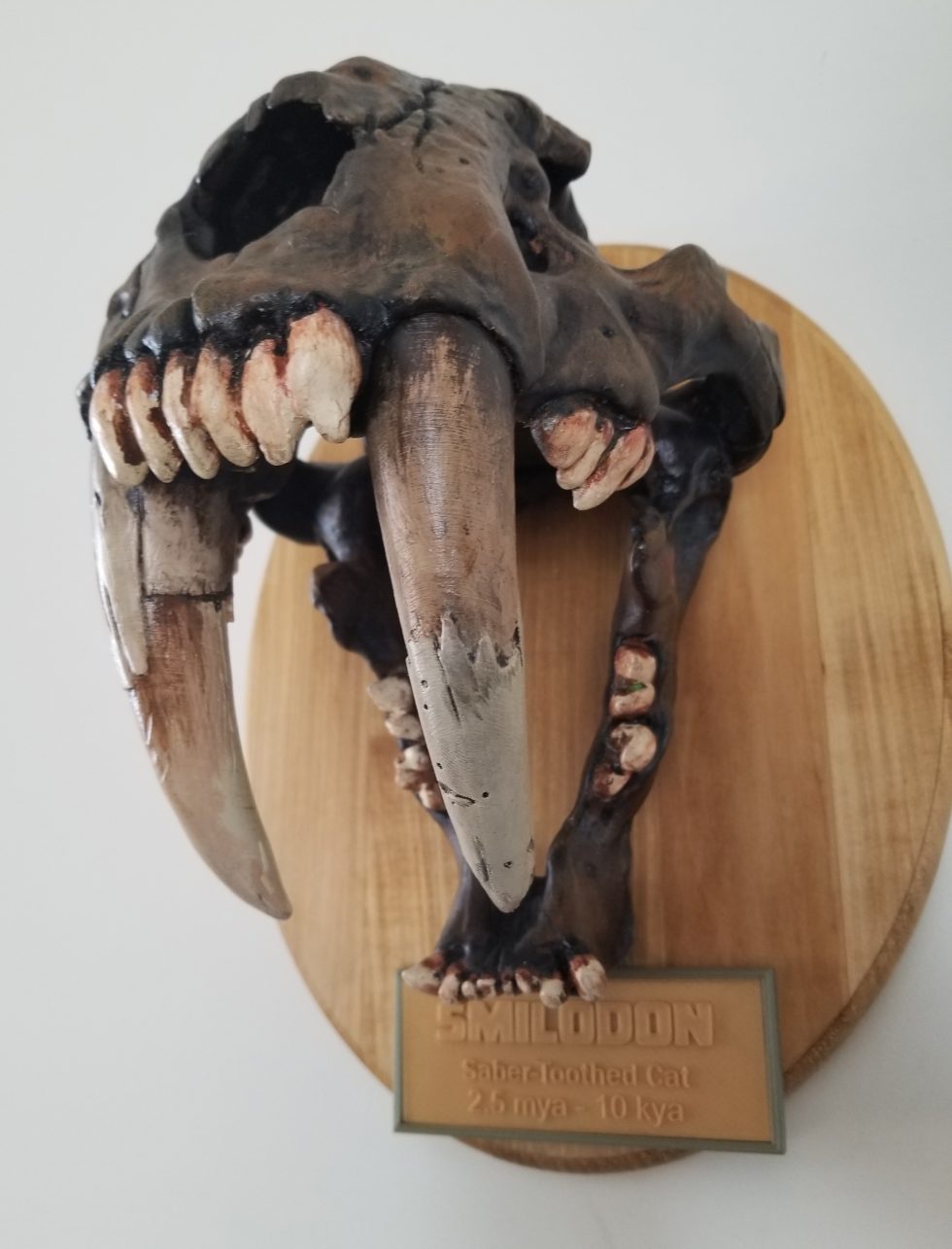 Smilodon Fossil - 3d printing and augmented reality - Eddie Carbin